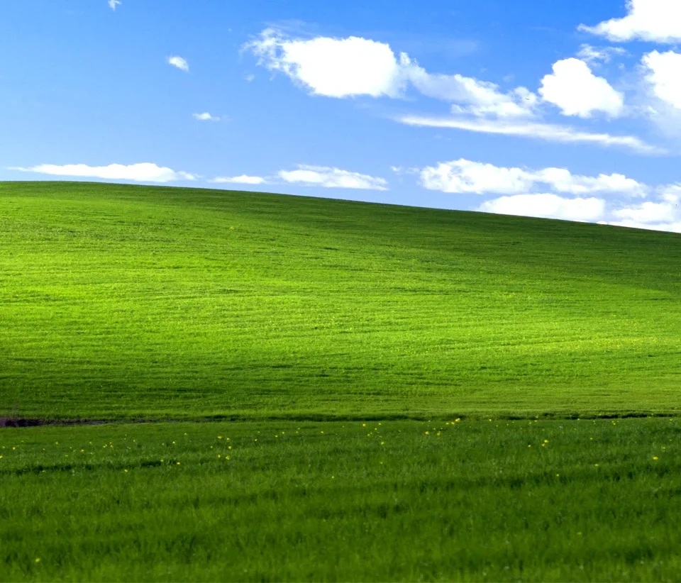windows_xp_bliss-wide